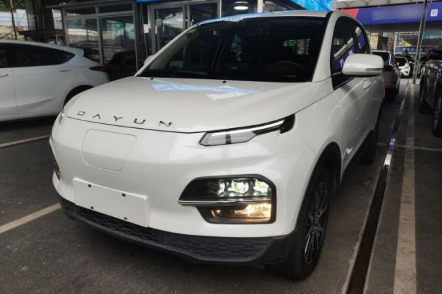 Used Dayun Yuehu 2021 32.85 kWh Two-Wheel-Drive Sprite Version