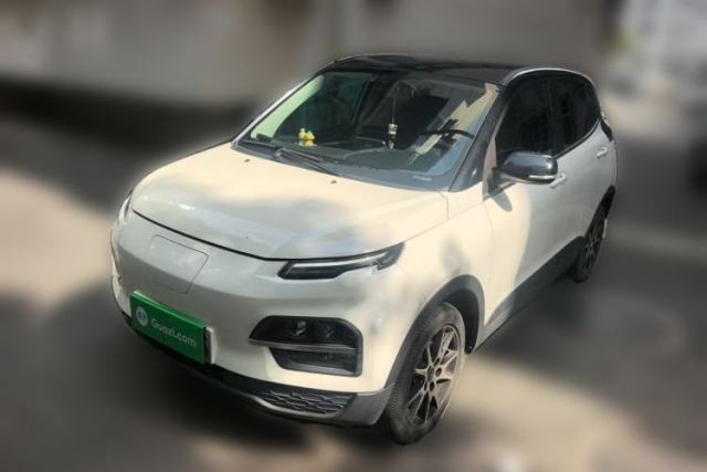 Used Dayun Yuehu 2021 32.85 kWh Two-Wheel-Drive Sprite Version