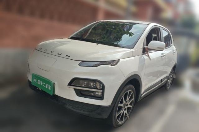 Used Dayun Yuehu 2021 32.85 kWh Two-Wheel-Drive Sprite Version