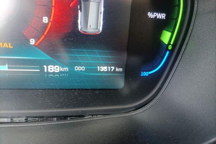 Used Dayun Yuehu 2021 32.85 kWh Two-Wheel-Drive Sprite Version Odometer Close Up