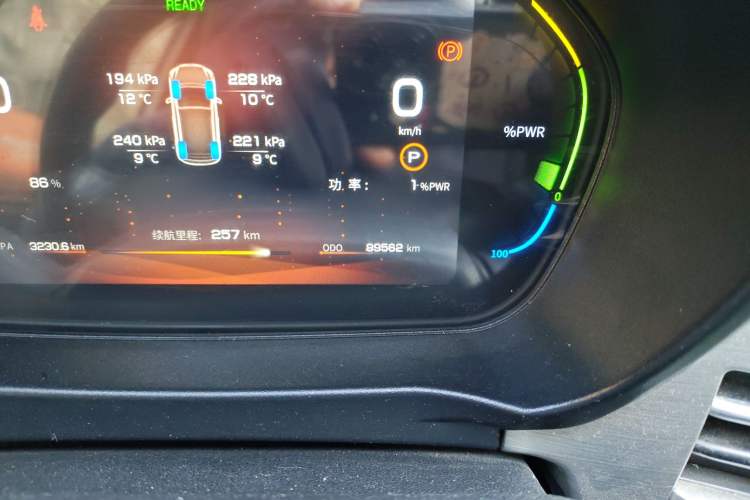 Used Dayun Yuehu 2021 32.85 kWh Two-Wheel-Drive Sprite Version Odometer Close Up