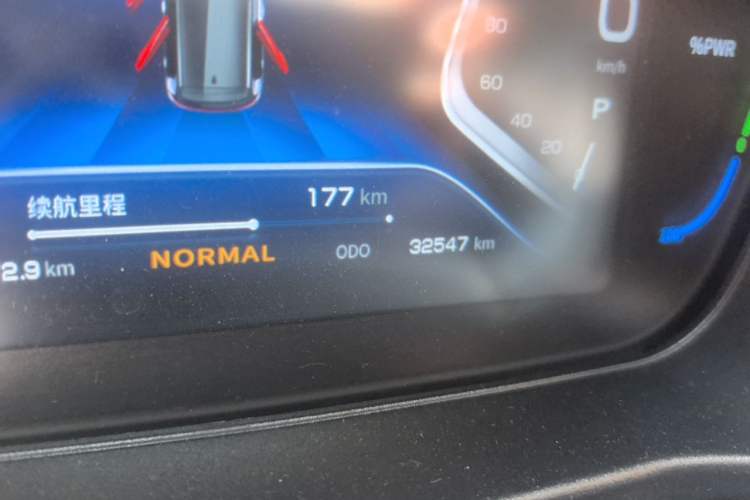 Used Dayun Yuehu 2021 32.85 kWh Two-Wheel-Drive Sprite Version Odometer Close Up