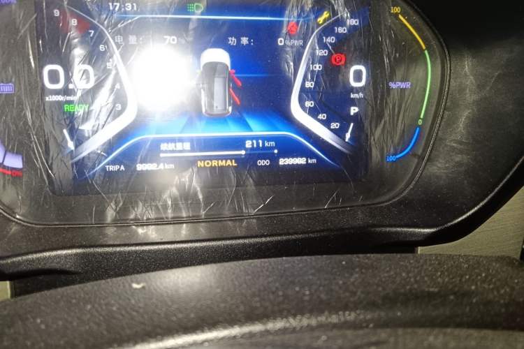 Used Dayun Yuehu 2021 32.85 kWh Two-Wheel-Drive Sprite Version Odometer Close Up