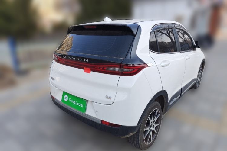 Used Dayun Yuehu 2021 32.85 kWh Two-Wheel-Drive Sprite Version Rear Right 45 Deg