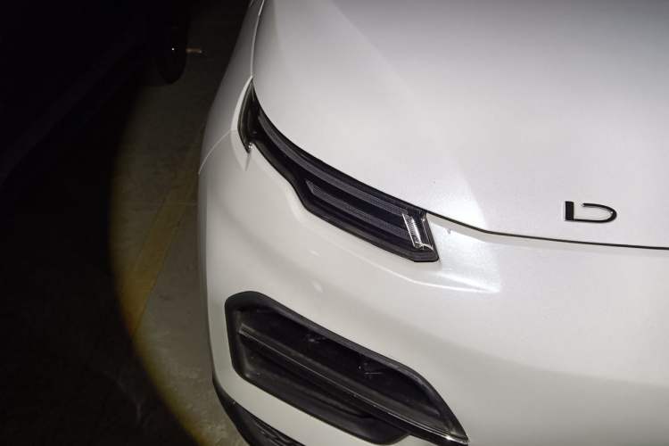 Used Dayun Yuehu 2021 32.85 kWh Two-Wheel-Drive Sprite Version Right Front Headlight