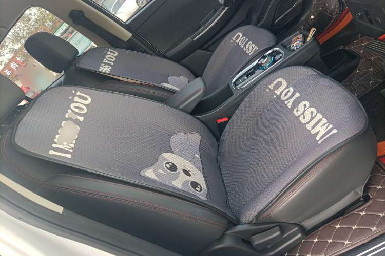 Used Dayun Yuehu 2021 32.85 kWh Two-Wheel-Drive Sprite Version Right Front Seat