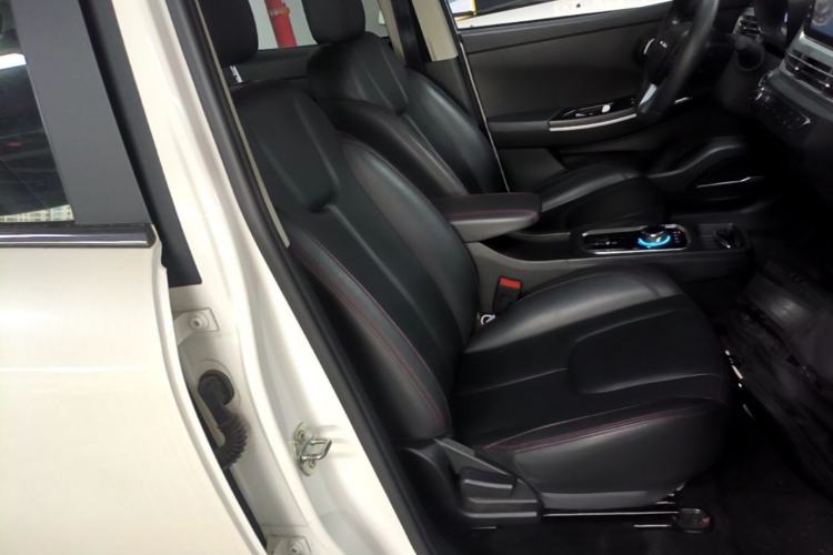 Used Dayun Yuehu 2021 32.85 kWh Two-Wheel-Drive Sprite Version Right Front Seat