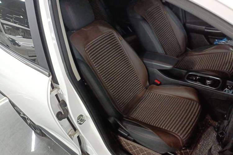 Used Dayun Yuehu 2021 32.85 kWh Two-Wheel-Drive Sprite Version Right Front Seat