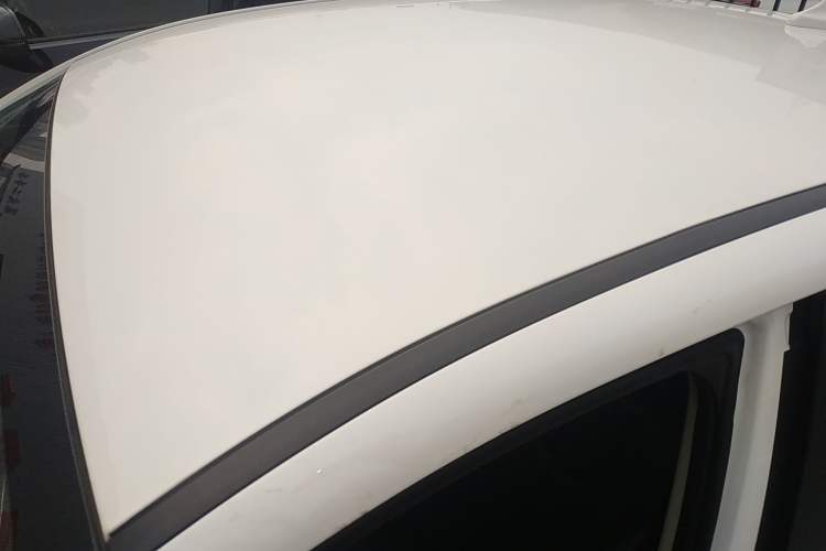Used Dayun Yuehu 2021 32.85 kWh Two-Wheel-Drive Sprite Version Roof