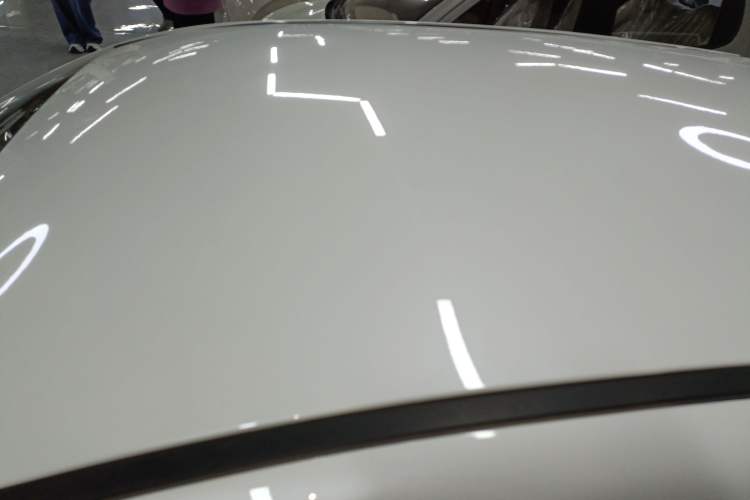 Used Dayun Yuehu 2021 32.85 kWh Two-Wheel-Drive Sprite Version Roof