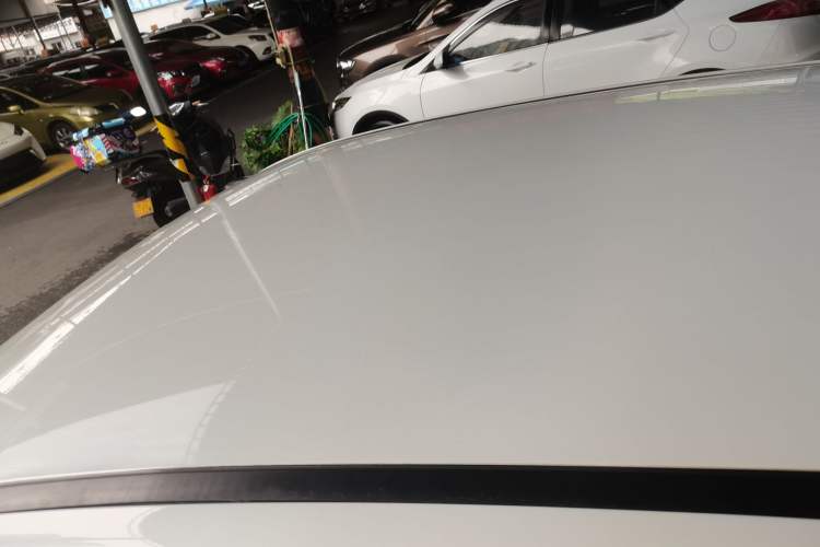Used Dayun Yuehu 2021 32.85 kWh Two-Wheel-Drive Sprite Version Roof