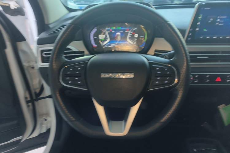 Used Dayun Yuehu 2021 32.85 kWh Two-Wheel-Drive Sprite Version Steering Wheel