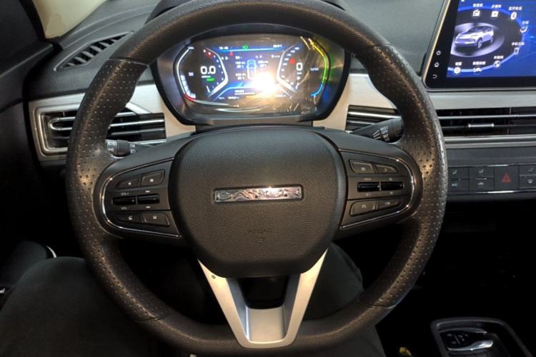 Used Dayun Yuehu 2021 32.85 kWh Two-Wheel-Drive Sprite Version Steering Wheel