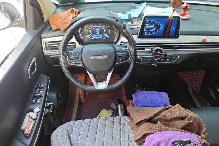Used Dayun Yuehu 2021 32.85 kWh Two-Wheel-Drive Sprite Version Steering Wheel