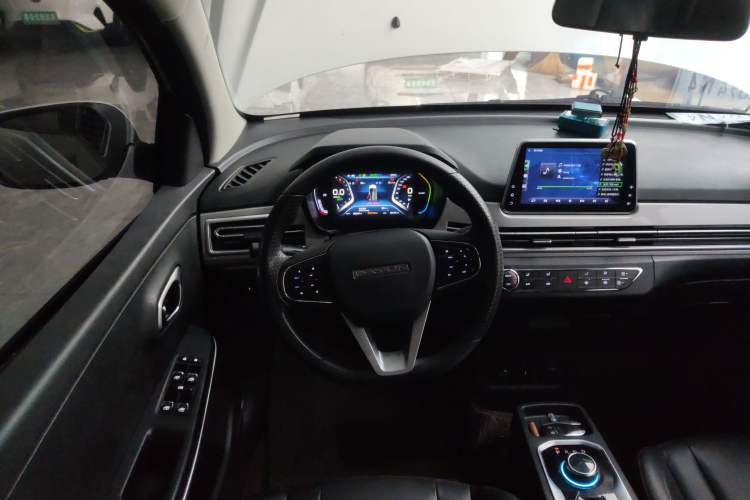 Used Dayun Yuehu 2021 Revised Version 32.85 kWh Two-Wheel Drive Sprite Edition Steering Wheel