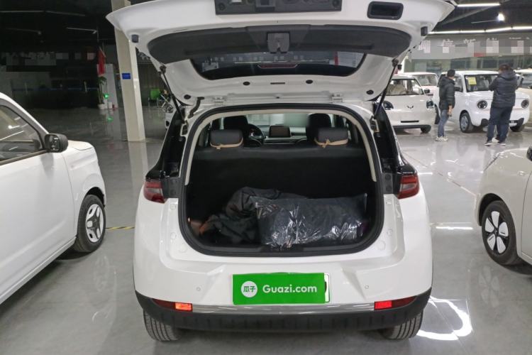 Used Dayun Yuehu 2021 32.85 kWh Two-Wheel-Drive Sprite Version Trunk