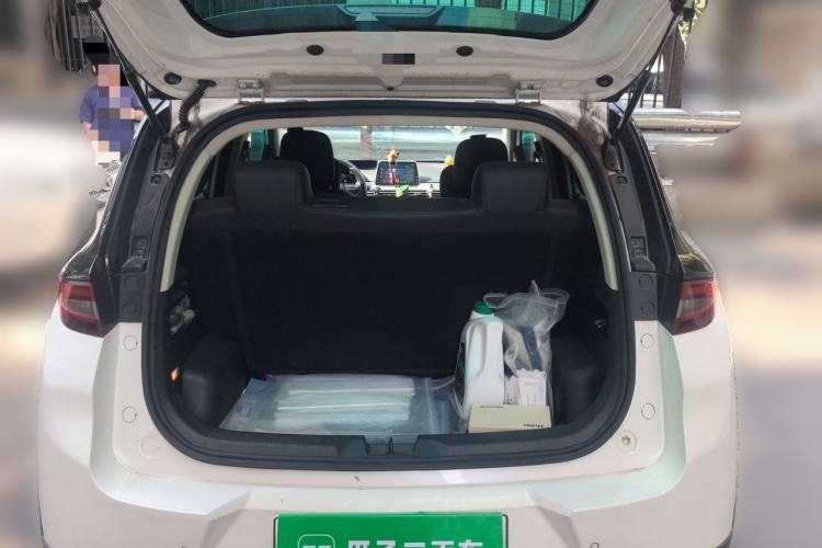 Used Dayun Yuehu 2021 32.85 kWh Two-Wheel-Drive Sprite Version Trunk