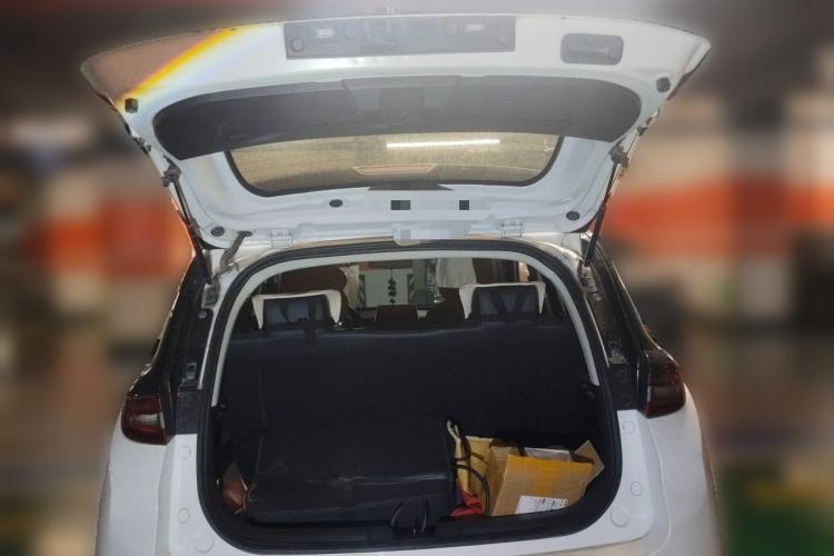 Used Dayun Yuehu 2021 32.85 kWh Two-Wheel-Drive Sprite Version Trunk