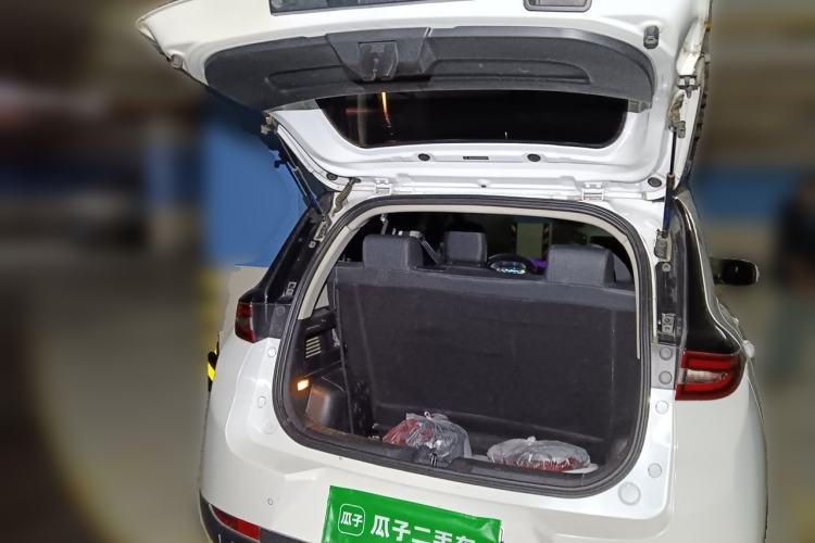 Used Dayun Yuehu 2021 32.85 kWh Two-Wheel-Drive Sprite Version Trunk