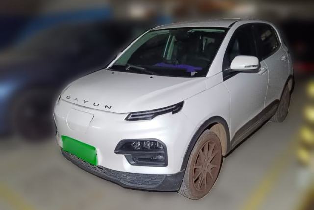 Used Dayun Yuehu 2021 32.85 kWh Two-Wheel-Drive Sprite Version