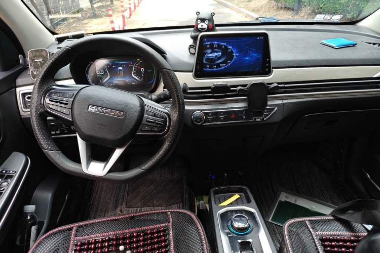 Used Dayun Yuehu 2021 32.85 kWh Two-Wheel-Drive Sprite Version Center Console