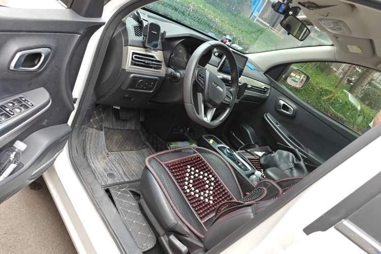 Used Dayun Yuehu 2021 32.85 kWh Two-Wheel-Drive Sprite Version Driver Seat