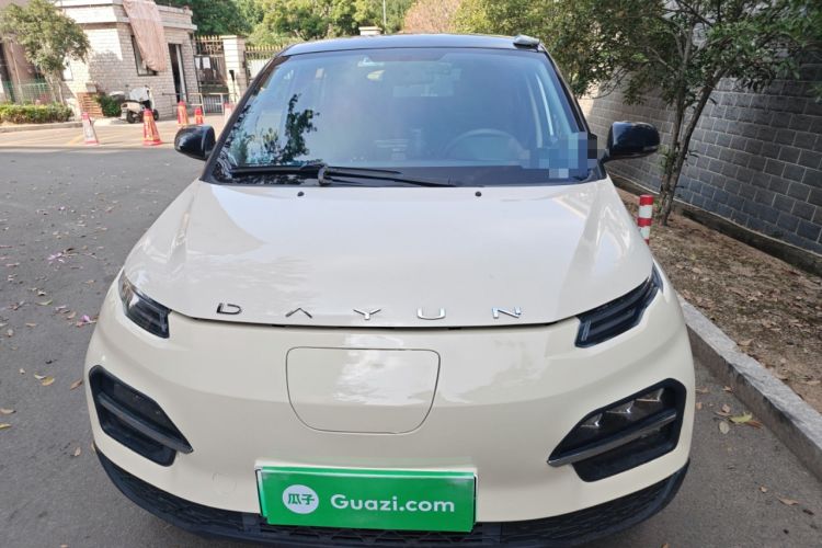 Used Dayun Yuehu 2021 32.85 kWh Two-Wheel-Drive Sprite Version Front
