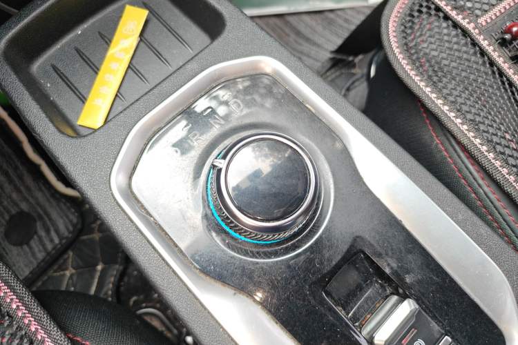 Used Dayun Yuehu 2021 32.85 kWh Two-Wheel-Drive Sprite Version Gear Lever