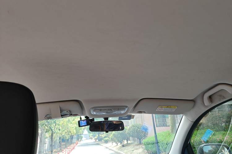 Used Dayun Yuehu 2021 32.85 kWh Two-Wheel-Drive Sprite Version Headliner