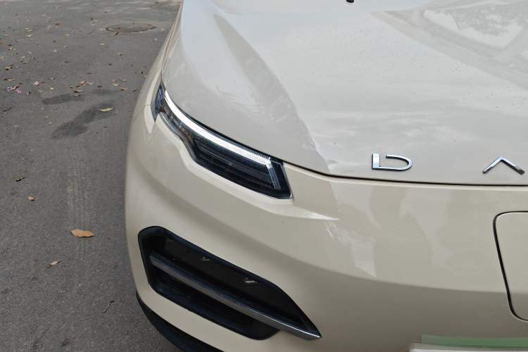 Used Dayun Yuehu 2021 32.85 kWh Two-Wheel-Drive Sprite Version Right Front Headlight