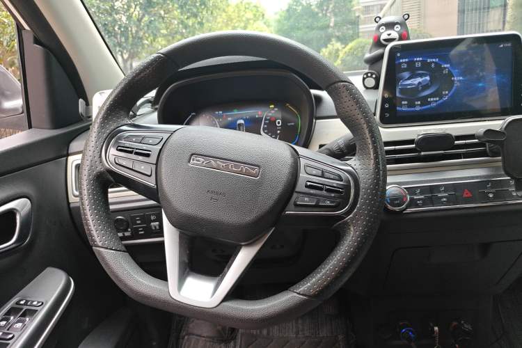 Used Dayun Yuehu 2021 32.85 kWh Two-Wheel-Drive Sprite Version Steering Wheel