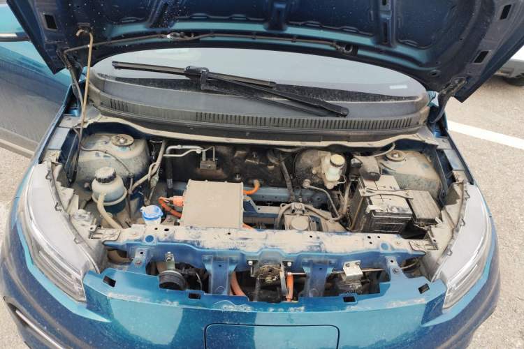 Used Dayun Yuehu 2022 300 Standard Edition Engine Bay