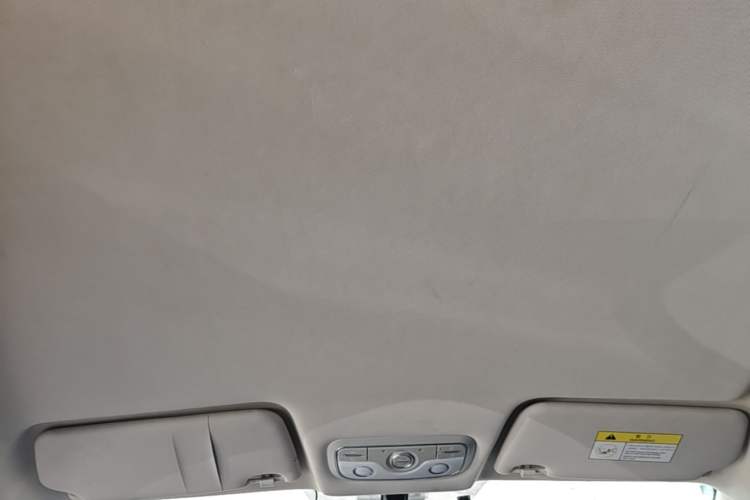 Used Dayun Yuehu 2022 30.66 kWh Two-Wheel Drive Standard Version Headliner