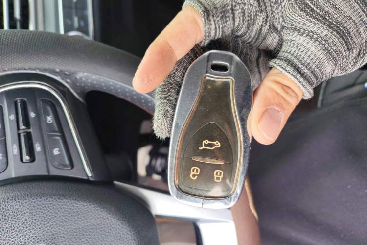 Used Dayun Yuehu 2022 300 Standard Edition Interior 1