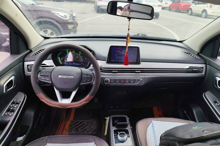 Used Dayun Yuehu 2022 300 Standard Edition Interior 2