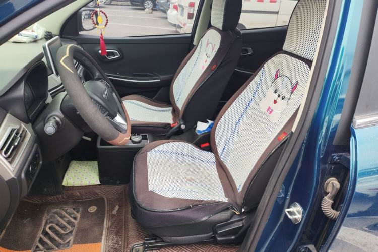 Used Dayun Yuehu 2022 300 Standard Edition Left Front Seat