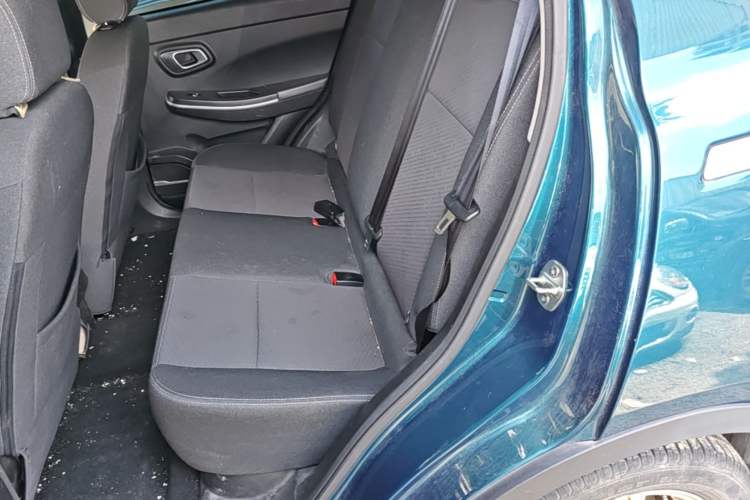 Used Dayun Yuehu 2022 30.66 kWh Two-Wheel Drive Standard Version Left Rear Seat
