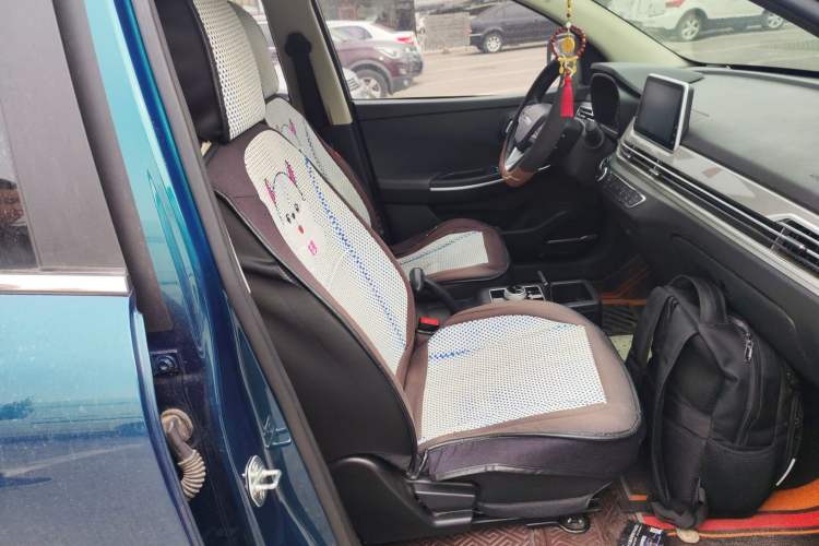 Used Dayun Yuehu 2022 300 Standard Edition Right Front Seat
