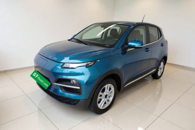 Dayun Yuehu 2022 30.66 kWh Two-Wheel Drive Standard Version usata