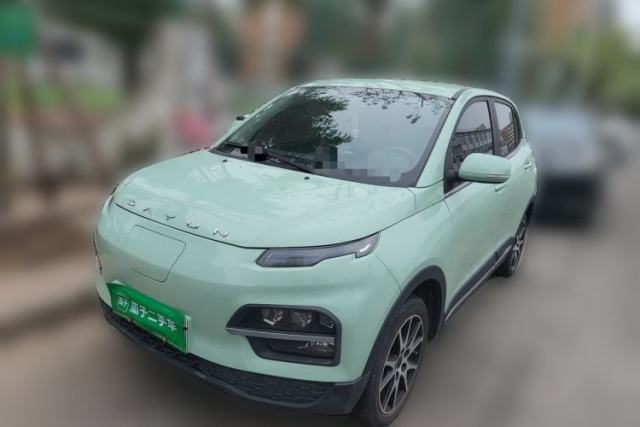 Used Dayun Yuehu 2022 30.66 kWh Two-Wheel Drive VIP Edition
