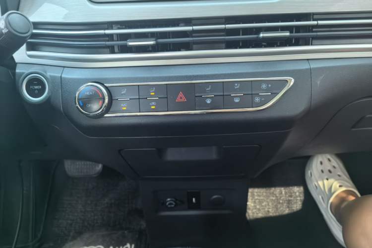 Used Dayun Yuehu 2022 30.66 kWh Two-Wheel Drive VIP Edition Audio And AC Panel