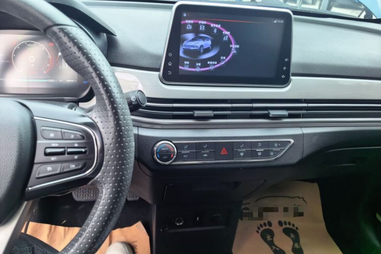 Used Dayun Yuehu 2022 30.66 kWh Two-Wheel Drive VIP Edition Audio And AC Panel