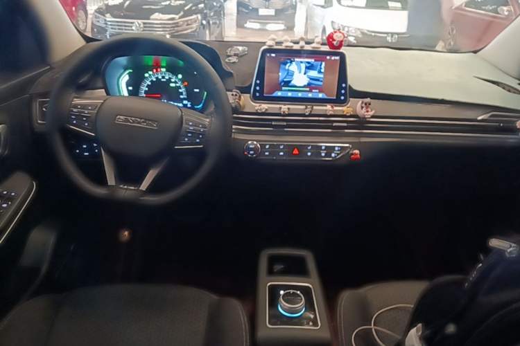 Used Dayun Yuehu 2022 300 Standard Edition Center Console