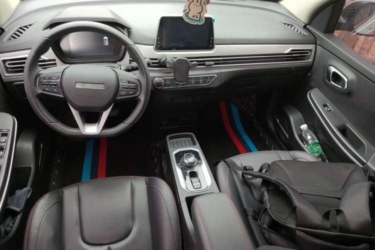 Used Dayun Yuehu 2022 30.66 kWh Two-Wheel Drive VIP Edition Center Console