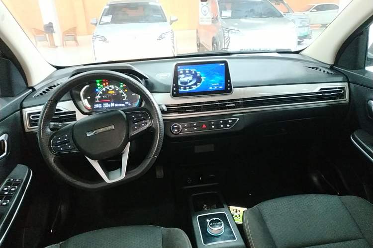 Used Dayun Yuehu 2022 30.66 kWh Two-Wheel Drive Standard Version Center Console