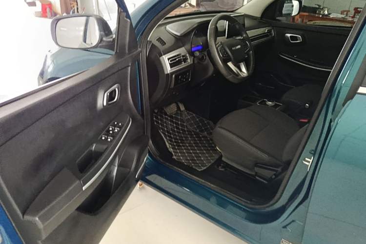 Used Dayun Yuehu 2022 30.66 kWh Two-Wheel Drive Standard Version Driver Seat
