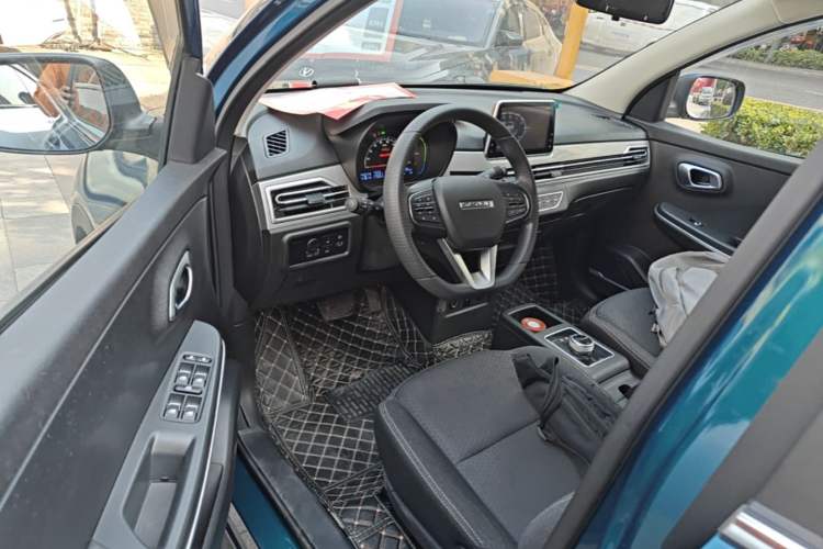 Used Dayun Yuehu 2022 30.66 kWh Two-Wheel Drive Standard Version Driver Seat