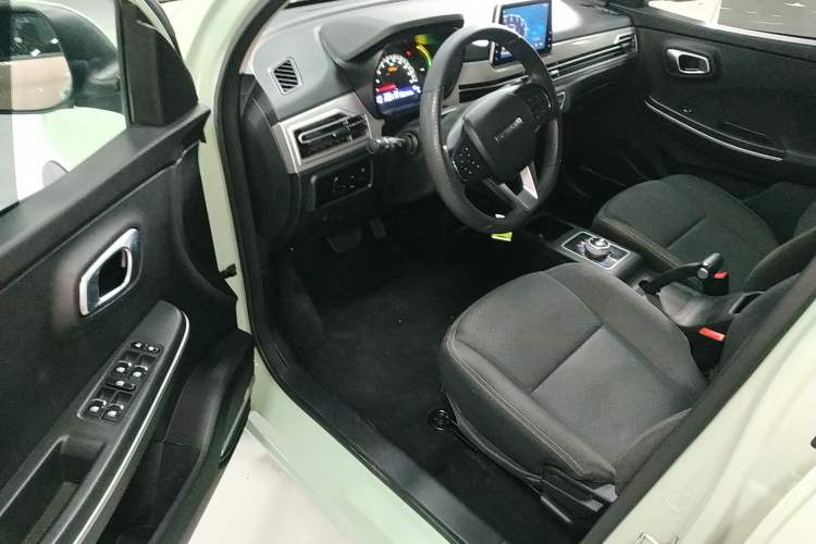 Used Dayun Yuehu 2022 30.66 kWh Two-Wheel Drive Standard Version Driver Seat