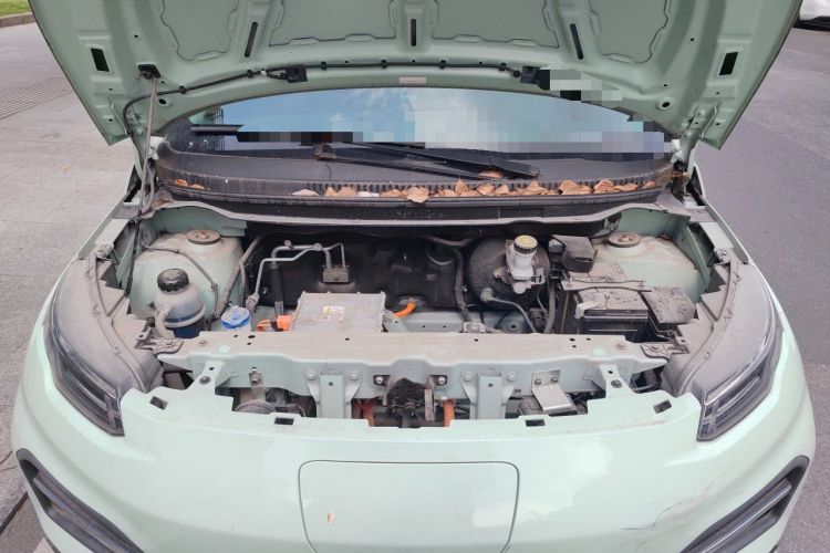 Used Dayun Yuehu 2022 300 Standard Edition Engine Bay