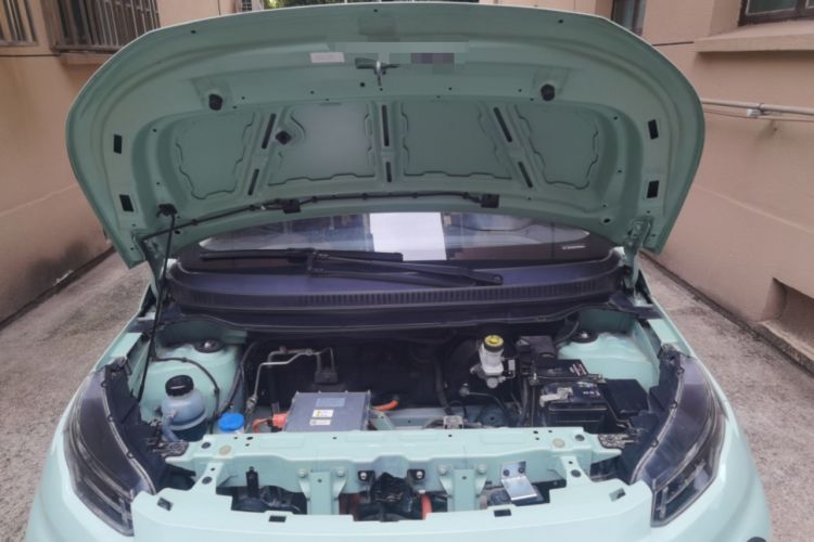 Used Dayun Yuehu 2022 300 Standard Edition Engine Bay